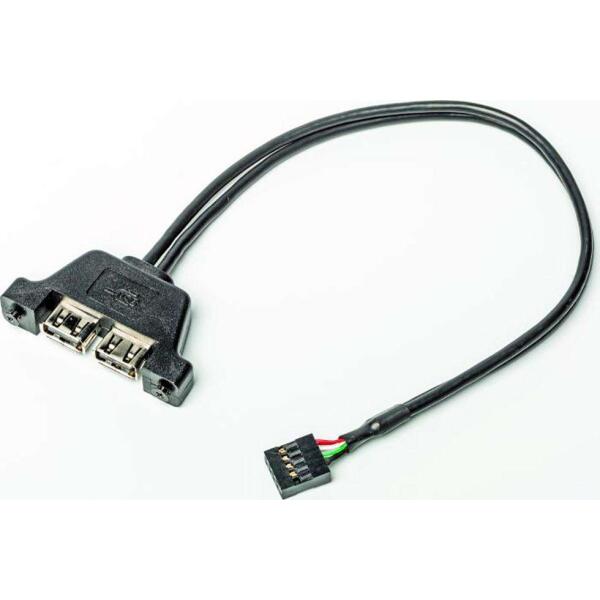 Asrock Deskmini 2Xusb2.0 Cable