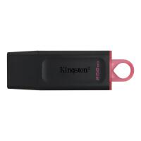 Usb Stick 256Gb Kingston Datatraveler Exodia  Usb 3.2