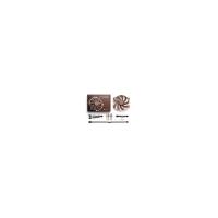 Headset Hp Poly Voyager 4320-M 4300 Uc Seris - 77Z32aa