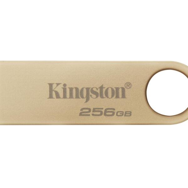 Usb Stick 256Gb Kingston Datatraveler Se9 G3 Usb 3.2