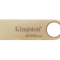 Usb Stick 256Gb Kingston Datatraveler Se9 G3 Usb 3.2