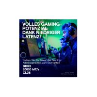 32Gb Kit 2X16gb Pc 6000 Crucial Pro Overclocking Edition...