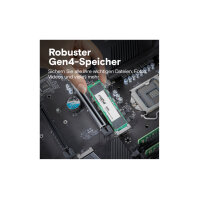 Crucial 2Tb E100 Ct2000e100ssd8 Pcie M.2 Nvme Pcie 4.0 X4