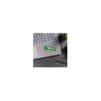Wd Green 500Gb Sn3000 Nvme M.2 Pcie 4.0 X4 Wds500g4g0e-00Cps0