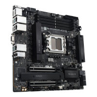 Asus Pro Ws B850m-Ace-Se