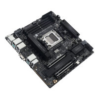 Asus Pro Ws B850m-Ace-Se