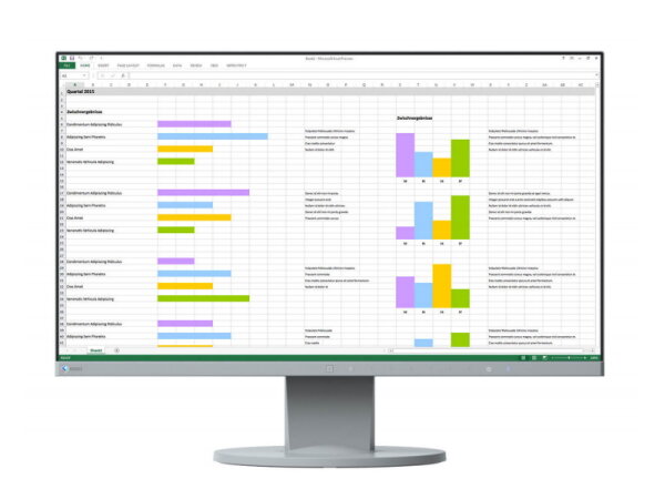 Eizo FlexScan EV2450 marble grey