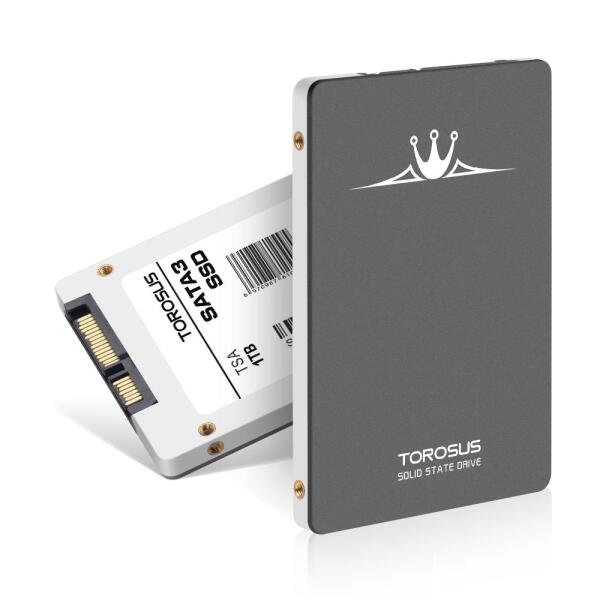 Torosus 1 TB SSD bulk